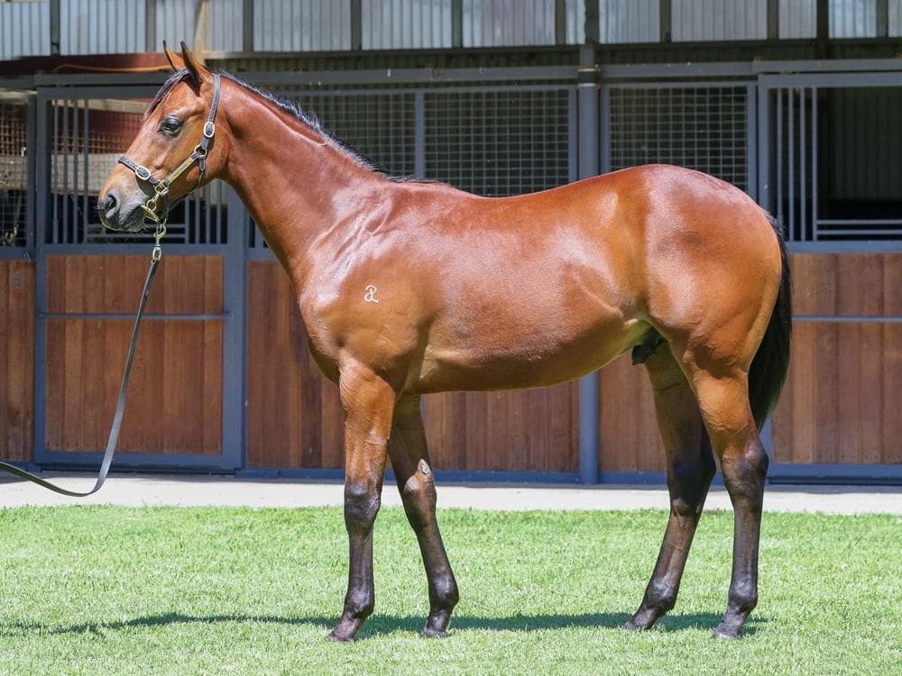 I Am Invincible/Haut Brion Her